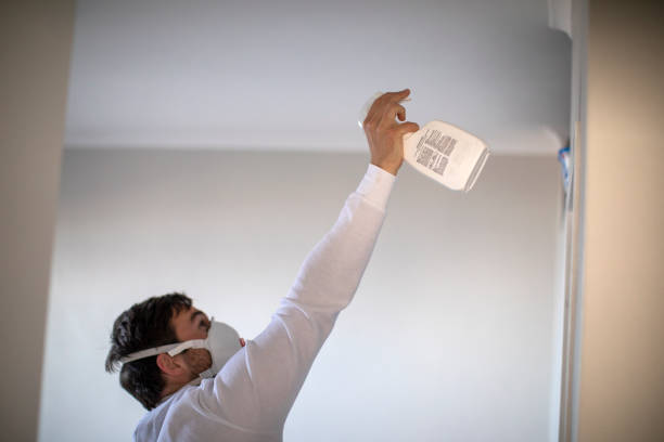 Best Mold Removal Near Me  in Jamesburg, NJ