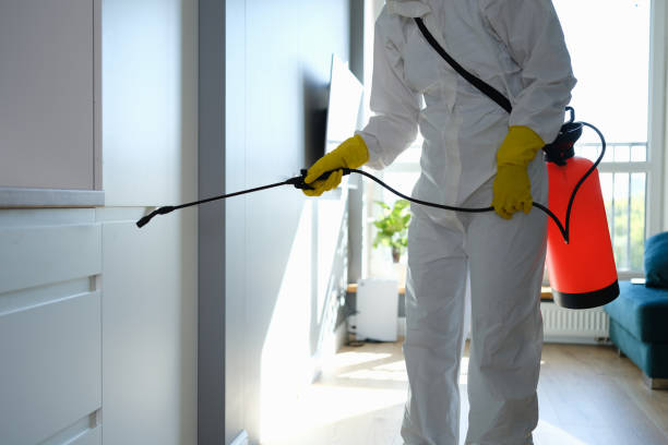 Best Office Mold Removal Services  in Jamesburg, NJ