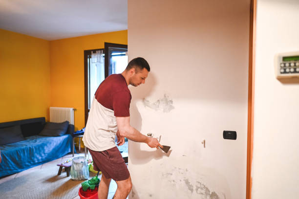 Best Affordable Mold Removal  in Jamesburg, NJ