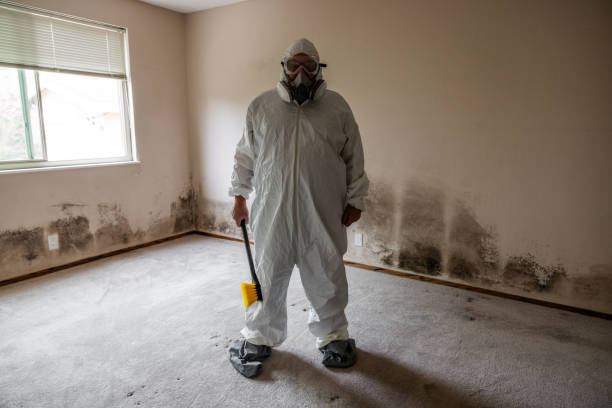 Crawl Space Mold Removal in Jamesburg, NJ